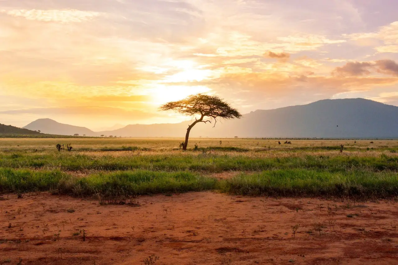 África