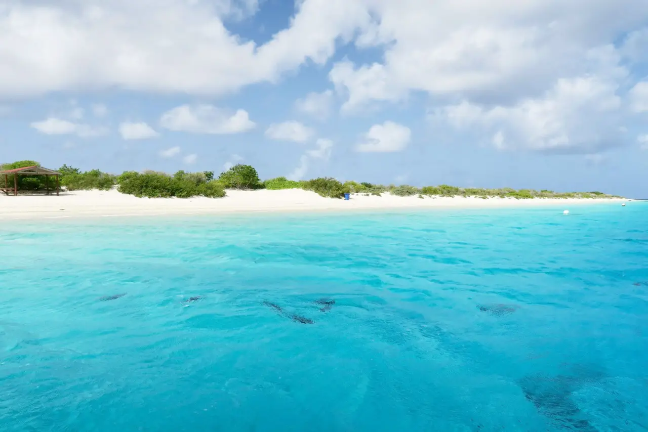 Caribe neerlandés