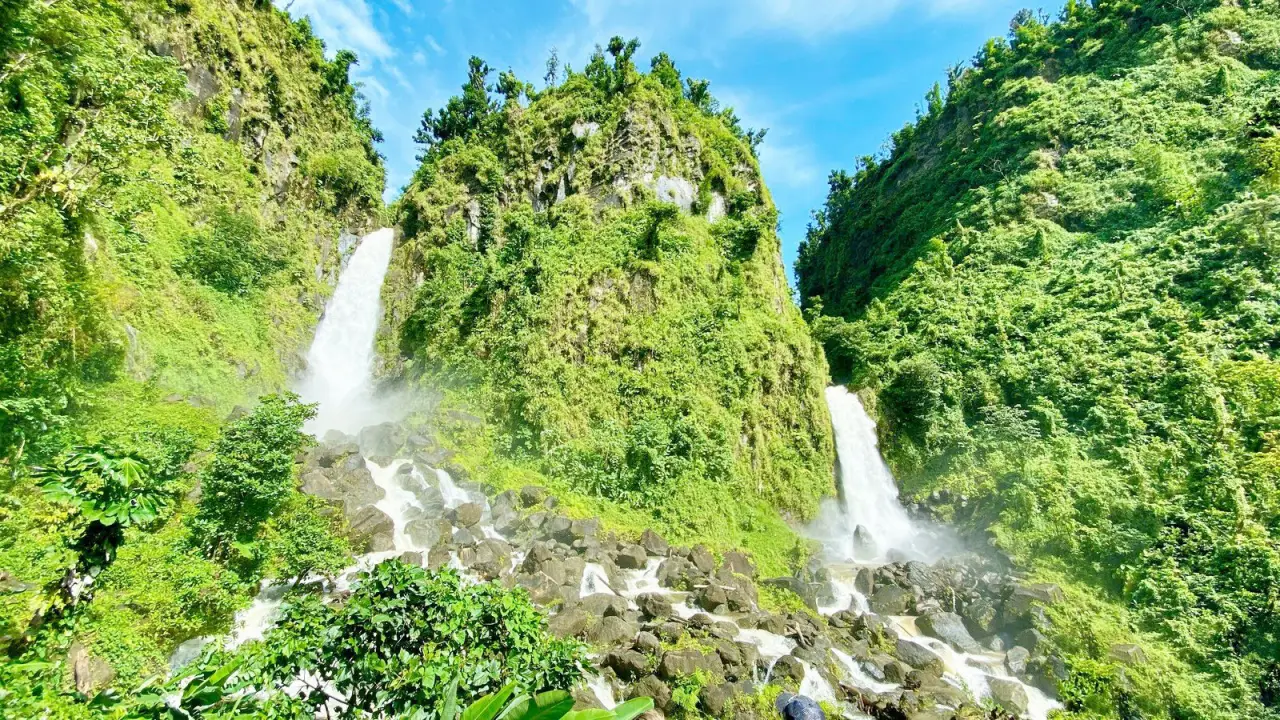 Dominica