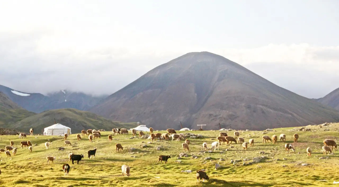 Mongolia
