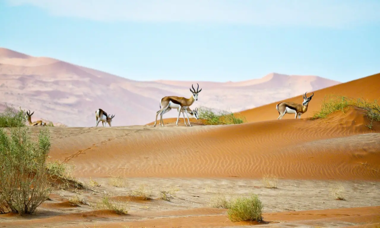 Namibia
